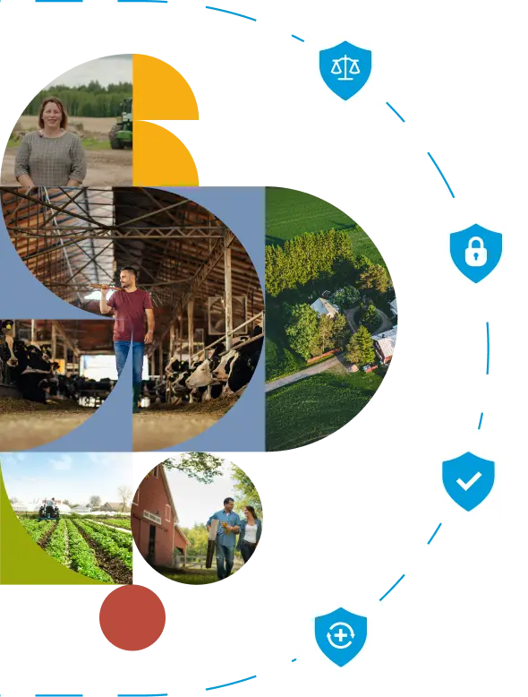 Illustration: Investoren und landwirtschaftliche Vermögenswerte