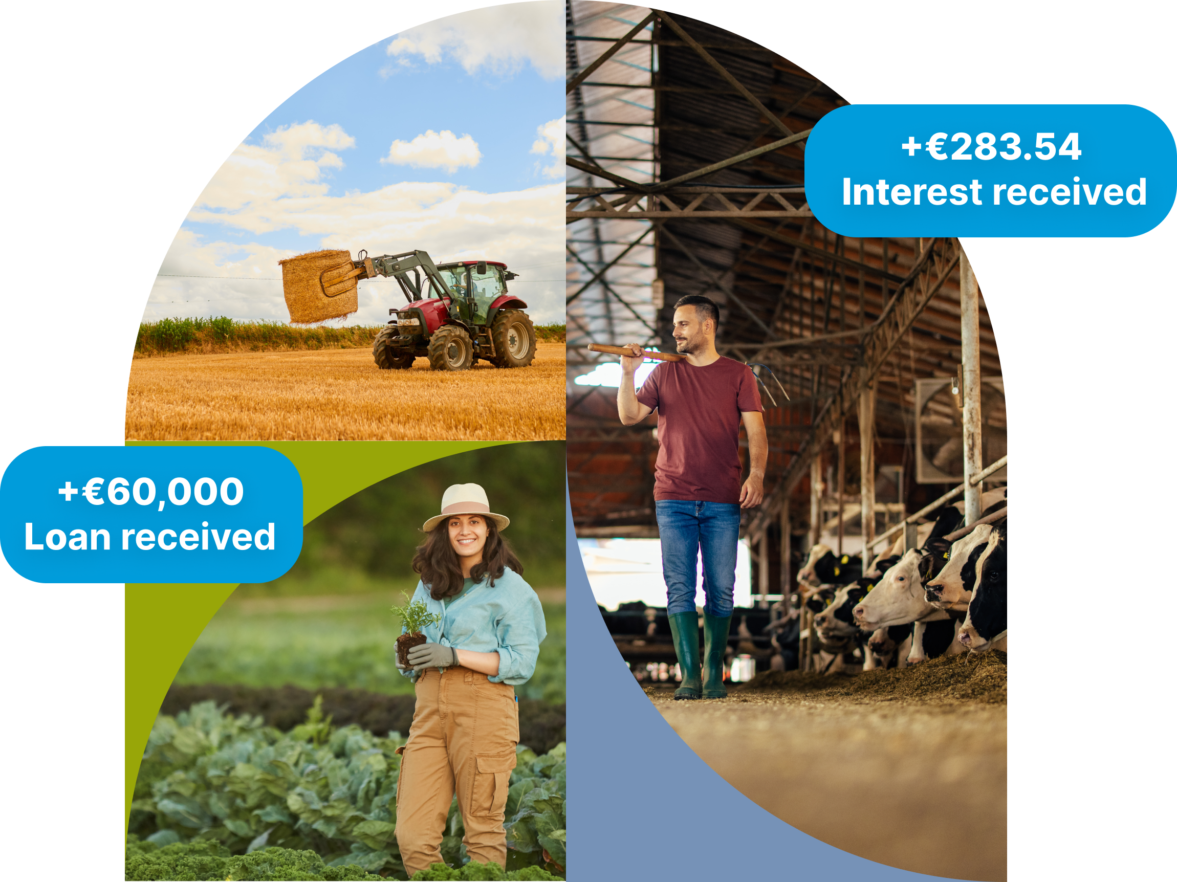 Hero illustration: investors and farm assets