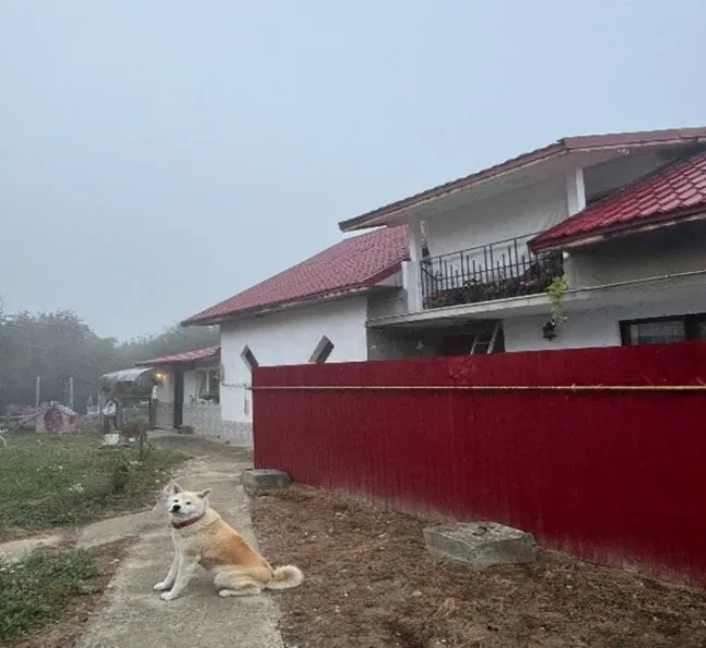 Project No. 32556171 image